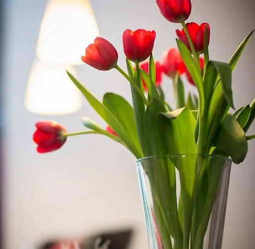 公寓式酒店 Apartmenthouse